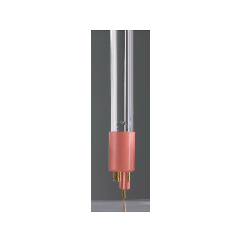 Bec T5 75W 4P Base G