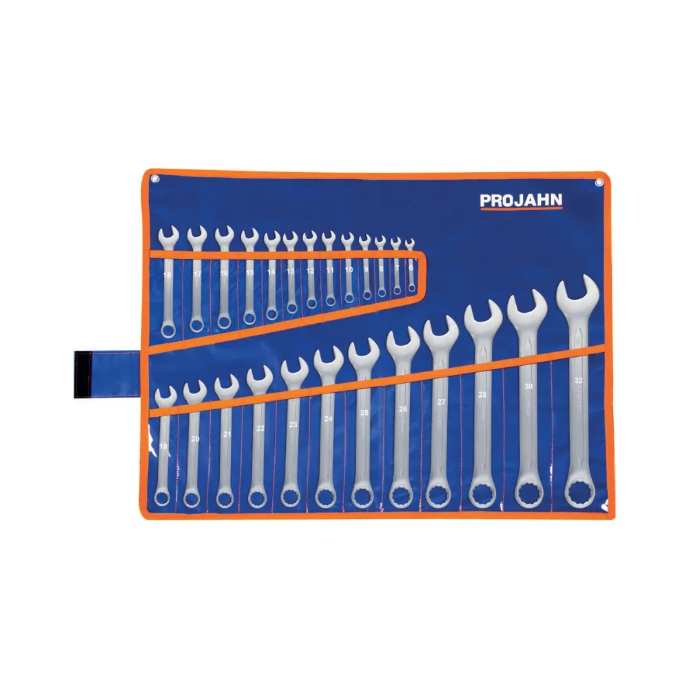 Set de chei combinate PROJAHN, 6-32 mm, 25 buc/set