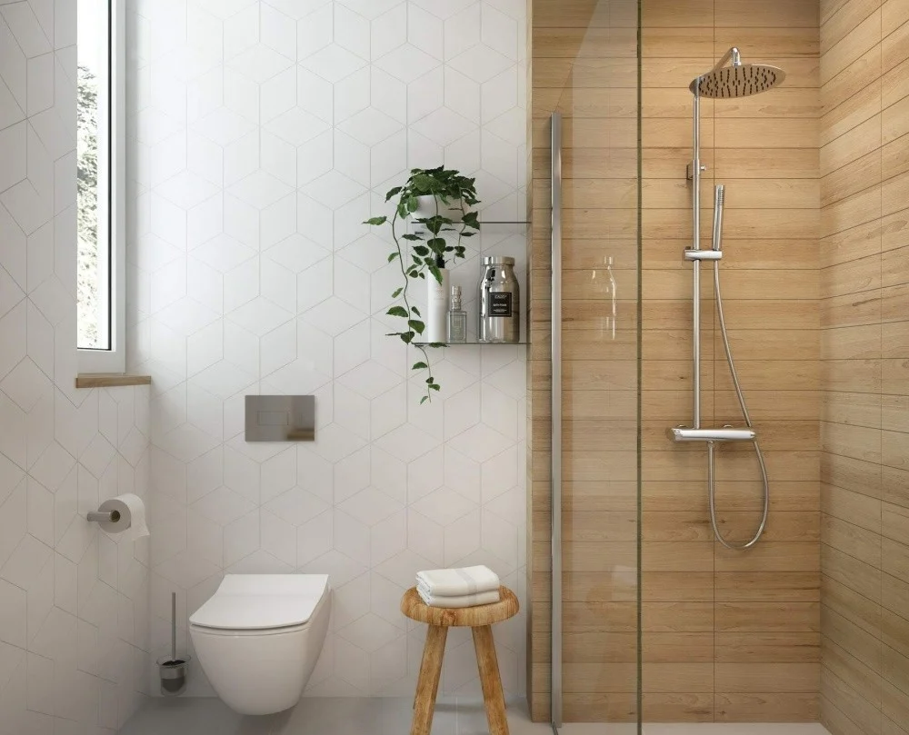 Deante Clapeta de actionare WC Dual Flush, crom