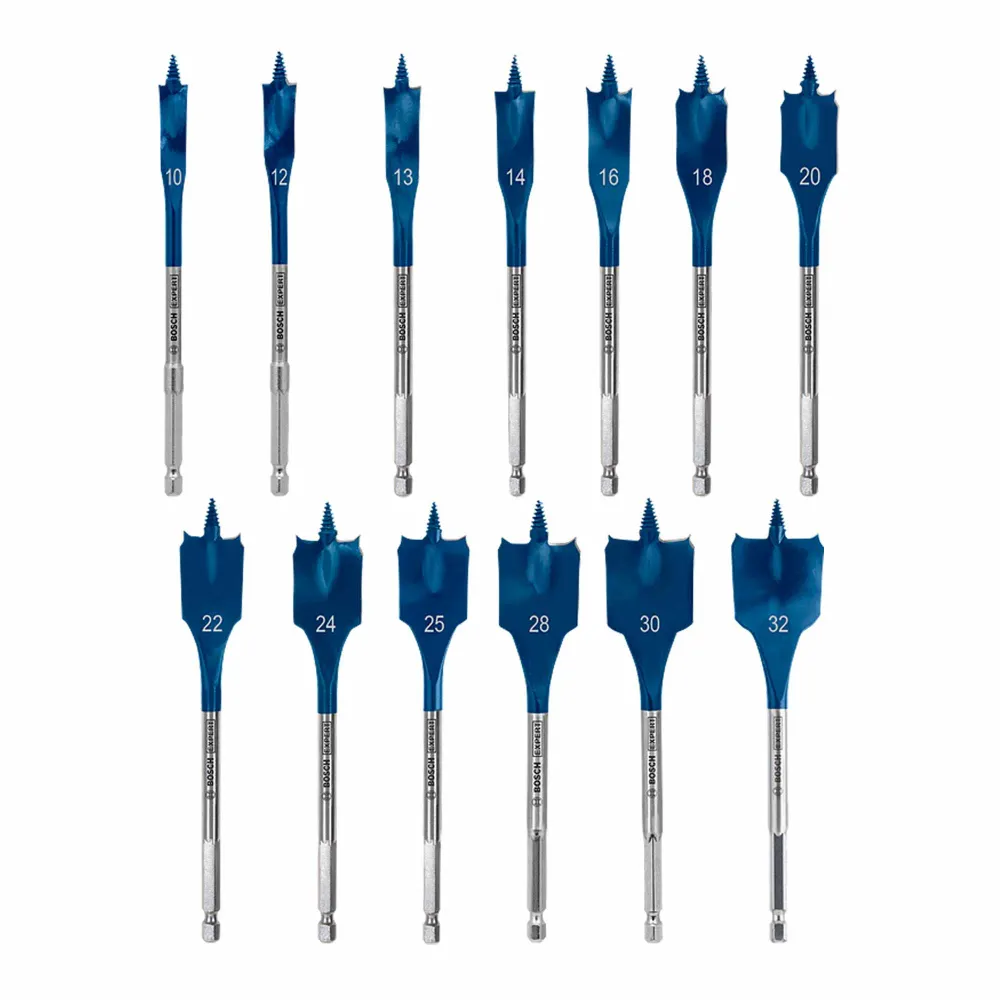 Set de hackuri cu sabie Bosch Expert SELFCUT 13 buc