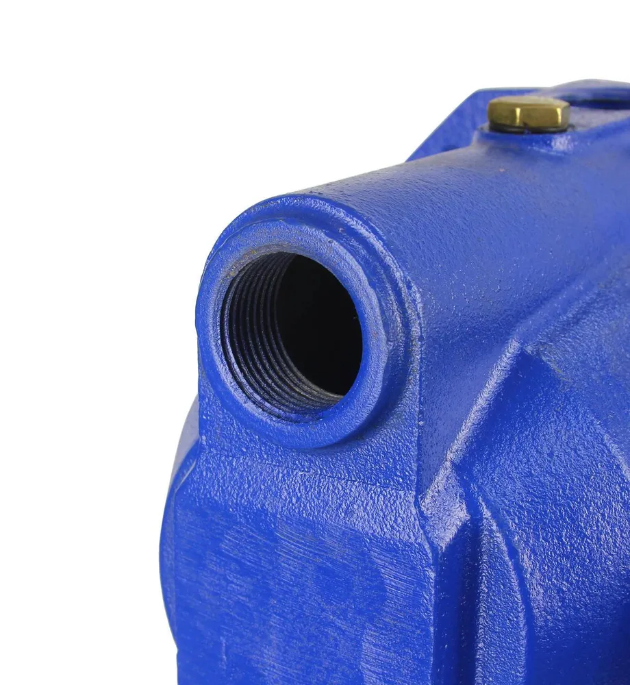 Hidrofor 24 litri 1000 W