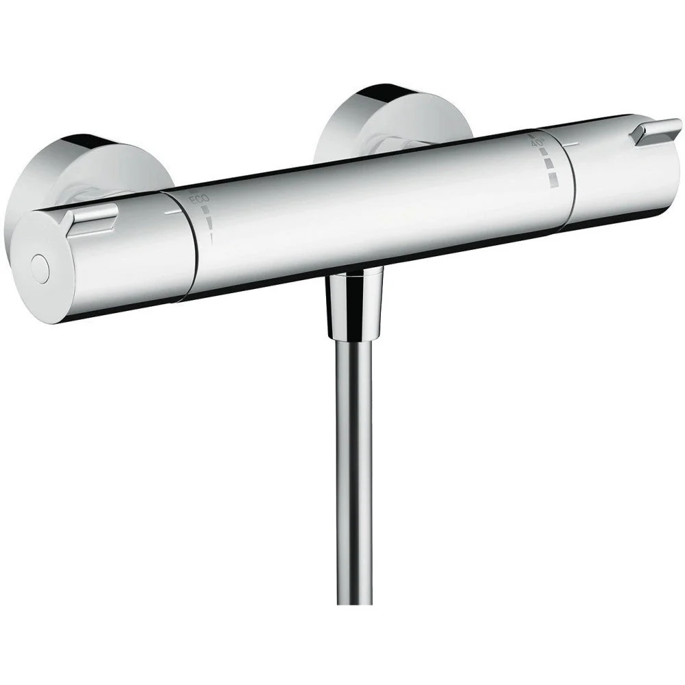Hansgrohe Ecostat Set Promo Baterie dus cu termostat si set de dus cu bara 65 cm