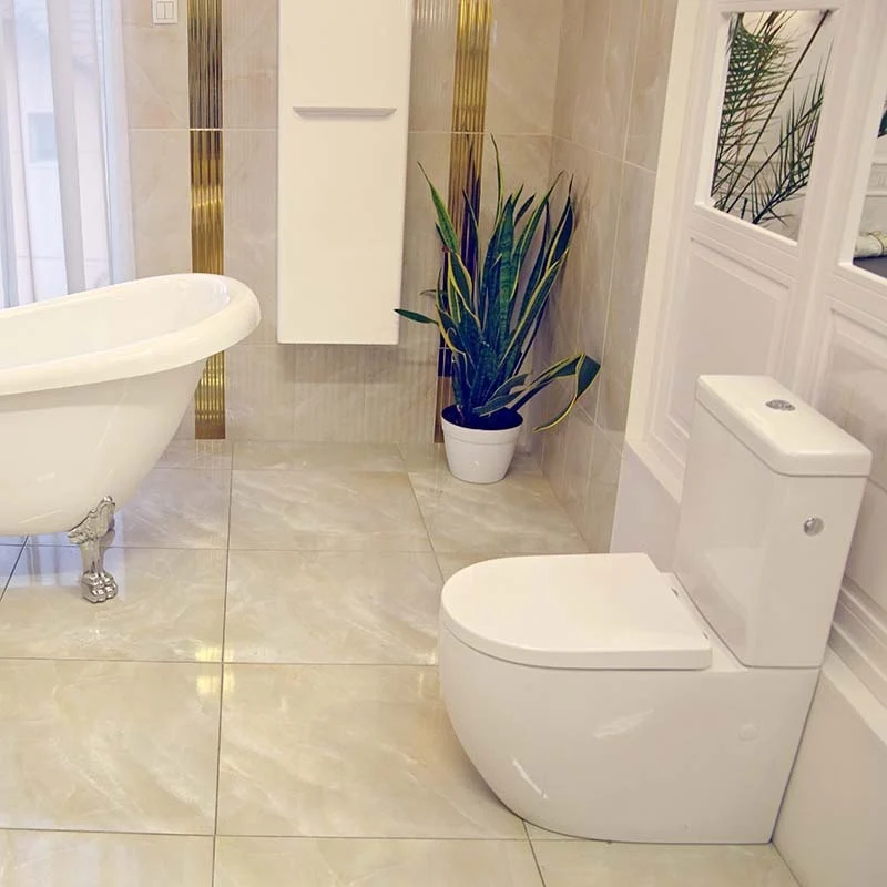 Set Vas WC pe pardoseala cu rezervor aparent si capac soft close Fluminia Minerva Rimless 38x63 cm evacuare universala