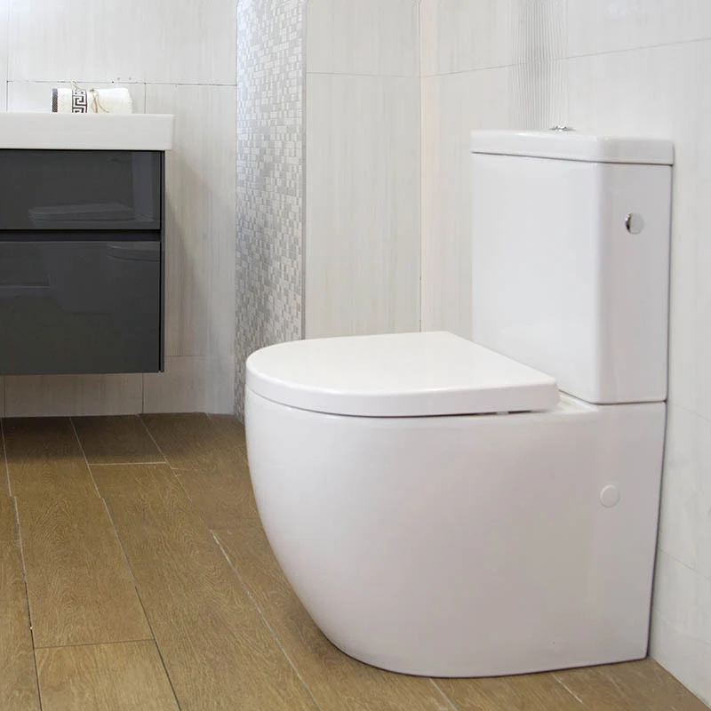 Set Vas WC pe pardoseala cu rezervor aparent si capac soft close Fluminia Minerva Rimless 38x63 cm evacuare universala