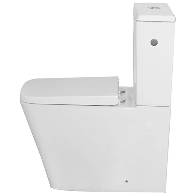 Set Vas WC pe pardoseala cu rezervor aparent si capac soft close Fluminia Paris Rimless 37x67 cm evacuare universala