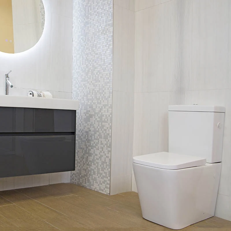 Set Vas WC pe pardoseala cu rezervor aparent si capac soft close Fluminia Paris Rimless 37x67 cm evacuare universala