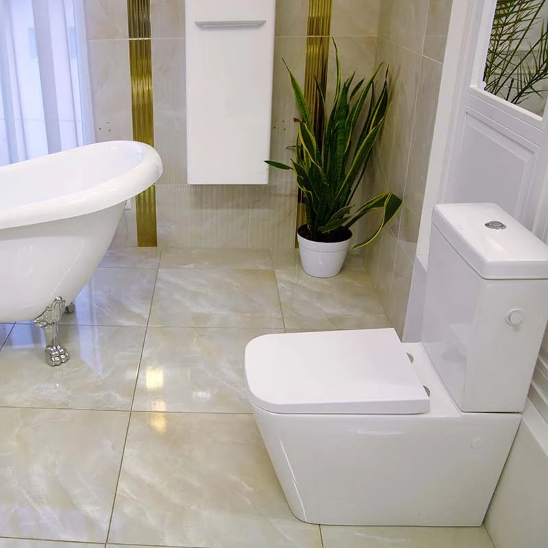 Set Vas WC pe pardoseala cu rezervor aparent si capac soft close Fluminia Paris Rimless 37x67 cm evacuare universala