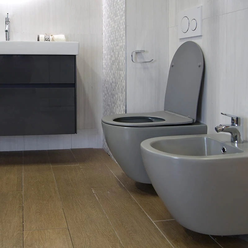 Set Vas WC suspendat cu capac soft close Fluminia Alfonzo Rimless 35x54 cm evacuare orizontala, gri mat