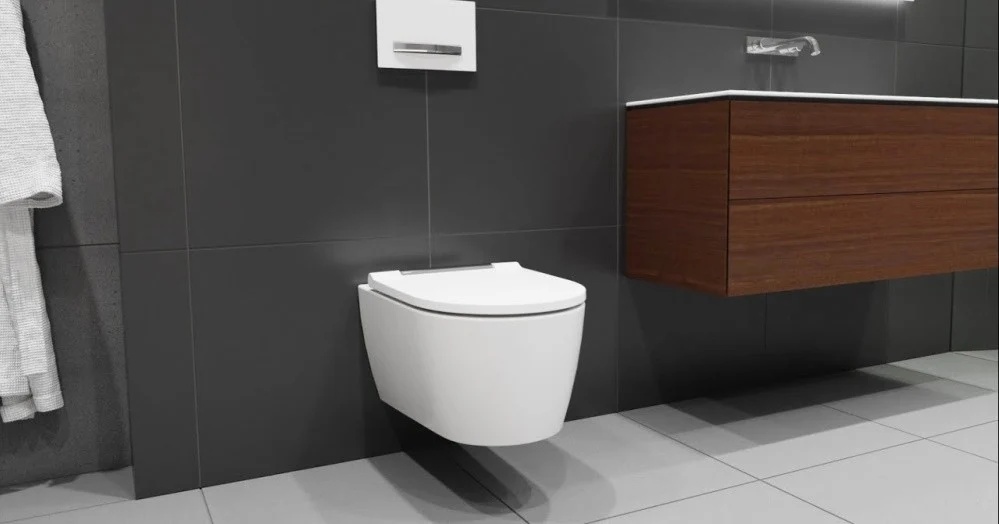 Set Vas WC suspendat cu capac soft close Geberit One 37x54 cm evacuare orizontala
