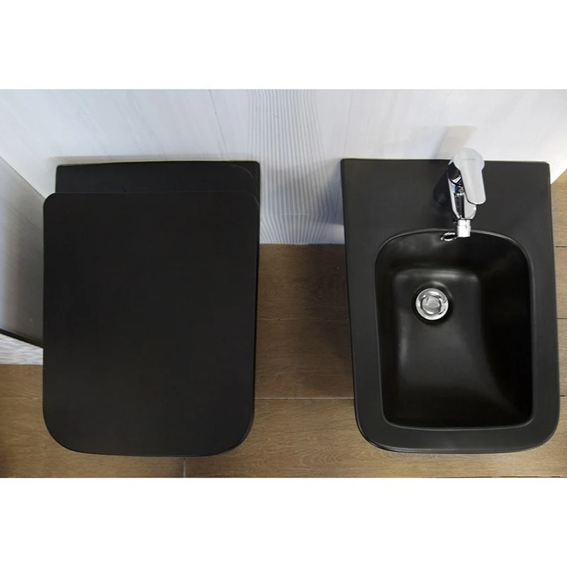 Set Vas WC suspendat cu capac soft close Fluminia Paris Rimless 37x53 cm evacuare orizontala, negru mat