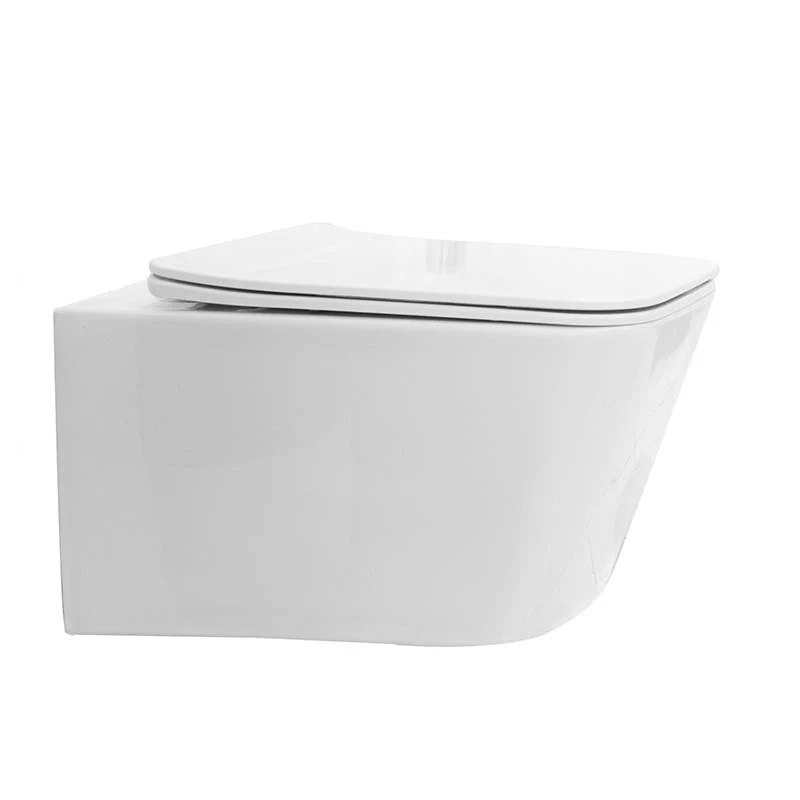 Set Vas WC suspendat cu capac soft close Fluminia Paris Rimless 37x53 cm evacuare orizontala, alb