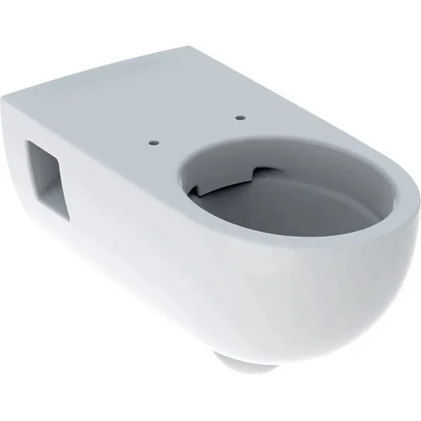 Vas WC suspendat Geberit Selnova Comfort Rimfree 36x70 cm evacuare orizontala