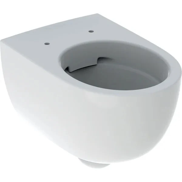 Vas WC suspendat Geberit Selnova Rimfree35x53 cm evacuare orizontala, forma complet inchisa