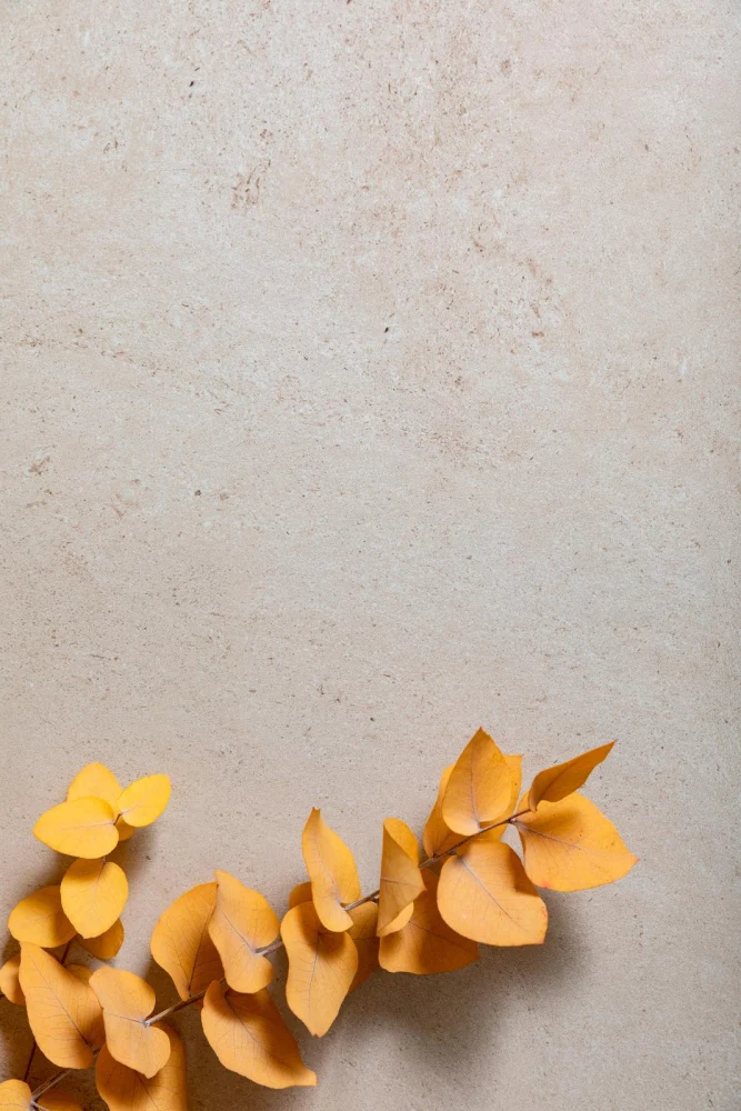 Gresie exterior / interior bej 33.3x33.3 cm, Marazzi Stonework Outdoor Beige