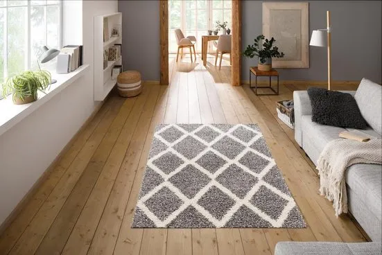 Covor Shaggy Linz cu fir lung pufos, alb cu gri, 80x150 cm