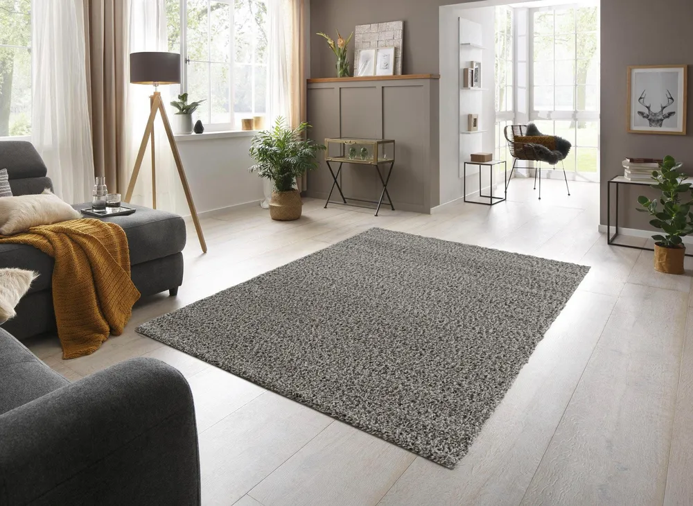 Covor shaggy Saron foarte moale si pufos gri, 120x180 cm