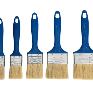Set pensule pentru vopsit Wadfow, pentru vopsele pe baza de ulei, 5 buc