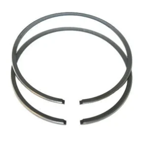 Segmenti 36mm (2 x 1.5mm)