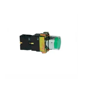 Buton cu revenire iluminabil, 1ND, 6A, verde, Freder 32-755
