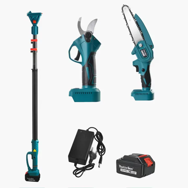 Kit Gradina 2 1: Mini Drujba cu Tija Telescopica si Foarfeca Electrica | 2 Acumulatori 48V