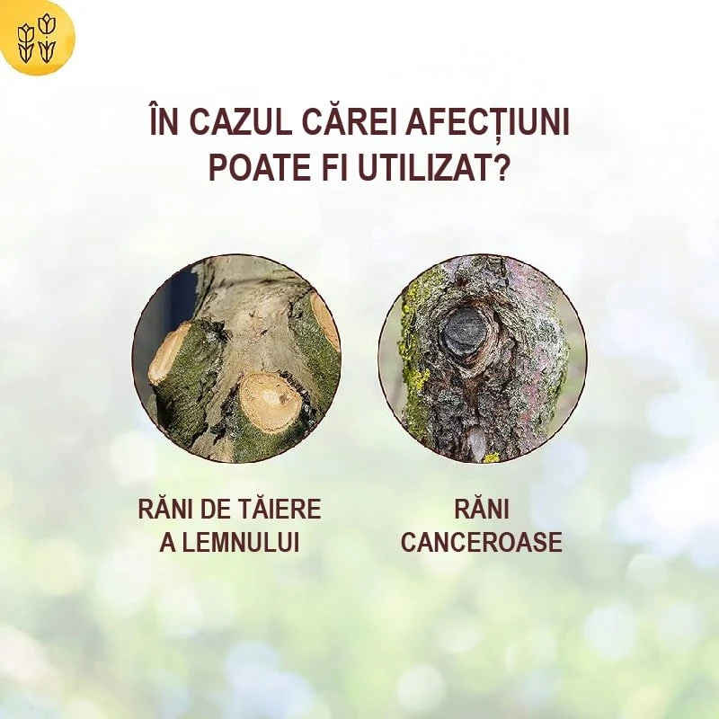 Mastic pentru sigilarea ranilor la Pomi Fructiferi si Ornamentali, Tub cu Pensula 300 g, Prindere Rapida, SOLABIOL