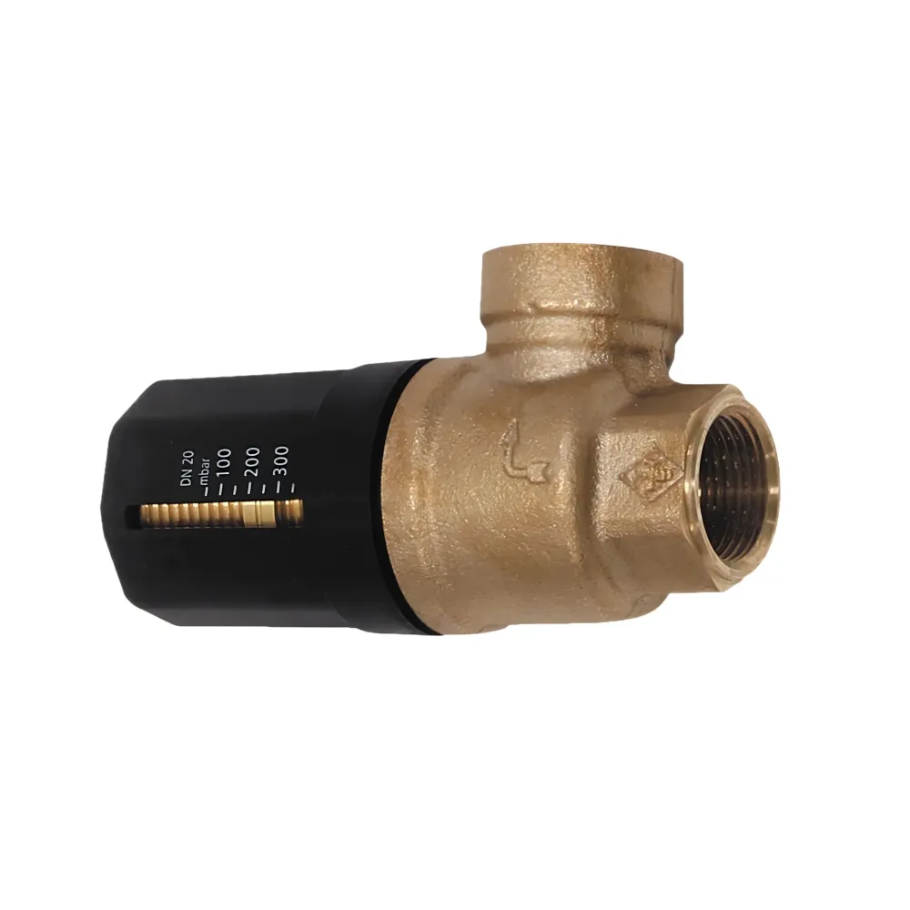 Supapa de preaplin Vaillant Rp 3/4